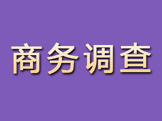 岱山商务调查