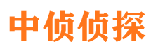 岱山调查取证